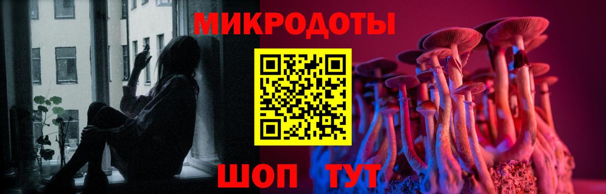 Псилоцибиновые грибы Magic Shrooms Удомля