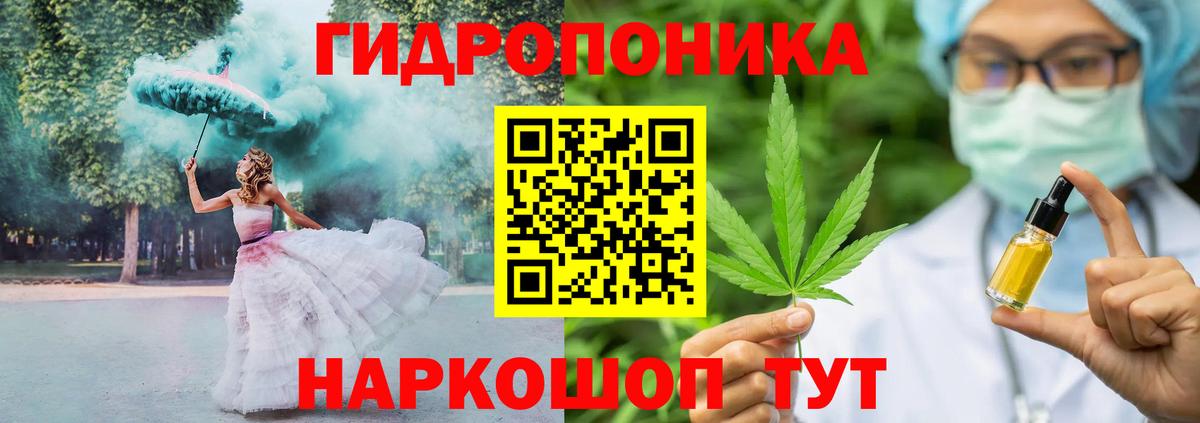 Бошки Шишки планчик Удомля